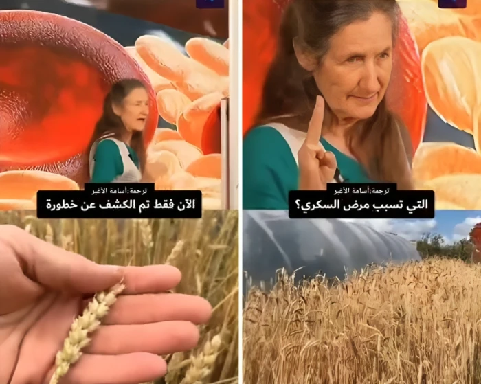 بالفيديو.. طبيبة تكشف عن أكثر الأسباب شيوعًا التي تسبب الإصابة بمرض السكري