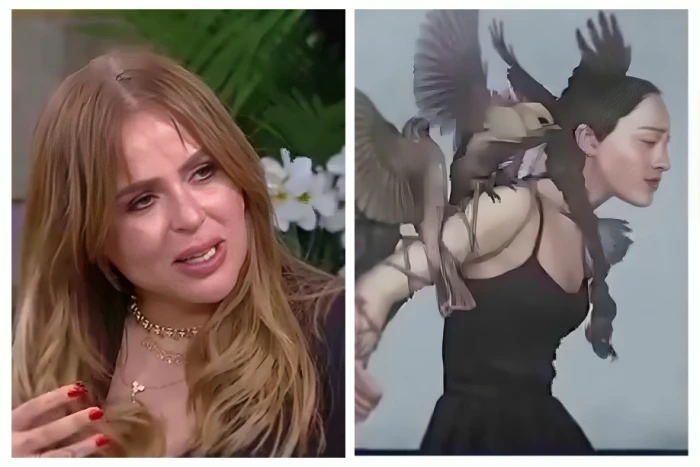 بالفيديو: الإعلامية مها الصغير تعرض لوحة فنية وتزعم أنها من أعمالها.. ورسامة دنماركية تتهمها بالسرقة