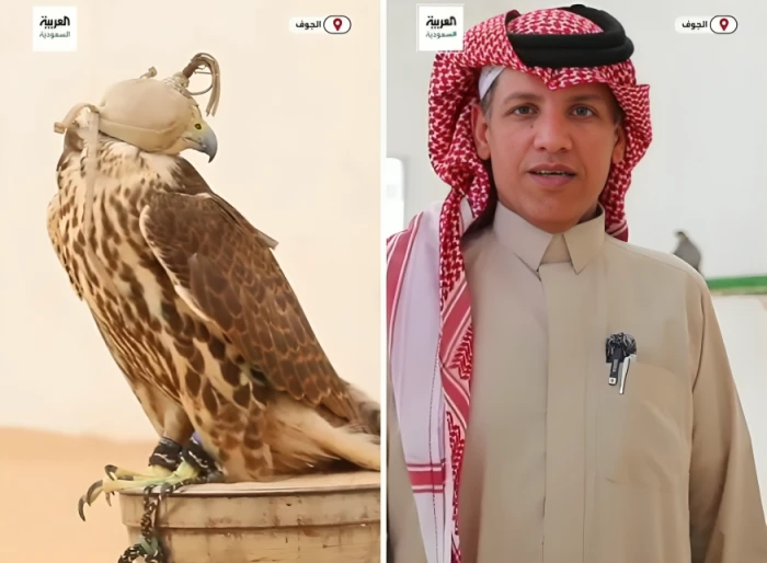 بدأ بـ 4 آلاف ريال.. بالفيديو.. قصة شاب حول إرث والده من تربية الصقور إلى تجارة وأصبح من كبار المستثمرين