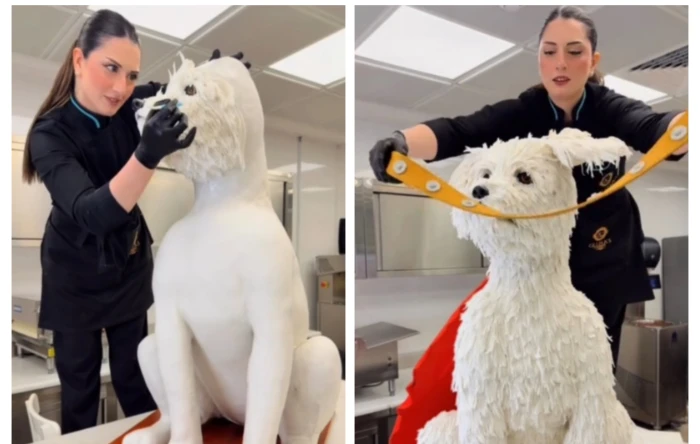 بالفيديو : صانعة شوكلاتة  تحضر كيكة  على شكل "كلب" ضخم