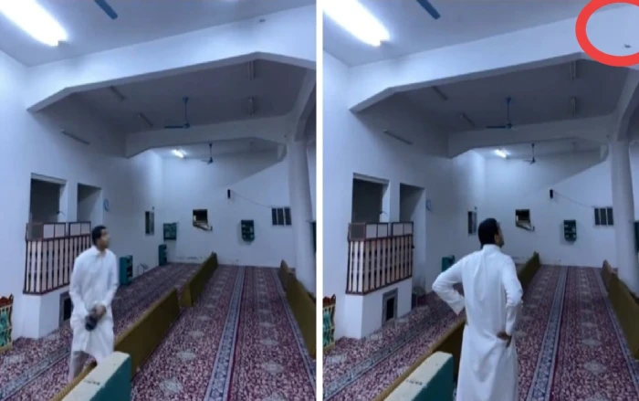 بالفيديو.. شاب يحاول قتل "وزغة" داخل مسجد وفجأة حدث مالم يتوقعه بالفيديو.. شاب يحاول قتل "وزغة" داخل مسجد وفجأة حدث مالم يتوقعه
