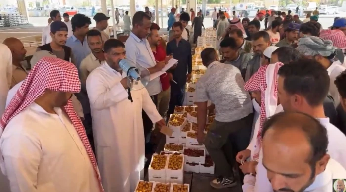 حراج التمور في المدينة يشهد حركة نشطة مع انطلاق موسم جني الرطب.. والكشف عن أشهر أنواعها