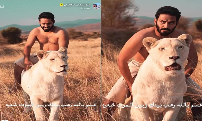 بالفيديو: عبدالرحمن المطيري يركب على ظهر أسد في محمية.. ويكشف سر خلعه ملابسه قبل الاقتراب منه بالفيديو: عبدالرحمن المطيري يركب على ظهر أسد في محمية.. ويكشف سر خلعه ملابسه قبل الاقتراب منه