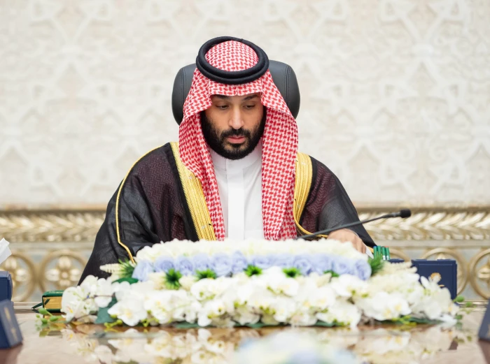 تفاصيل قرارات مجلس الوزراء اليوم الثلاثاء في نيوم