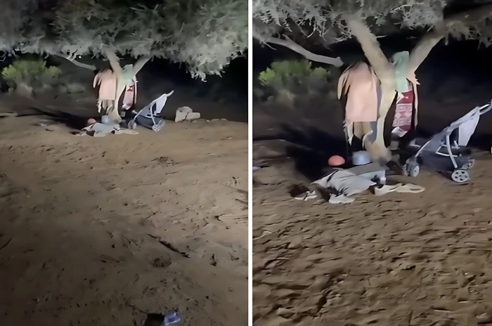 "كانتا تحت شجرة أثناء تصوير الأمطار".. أول فيديو لموقع وفاة أم وابنتها إثر صاعقة رعدية في أبها