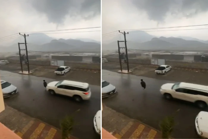 بالفيديو:  لحظة اصطدام مركبة بطفل خرج للاحتفال بالمطر في الباحة