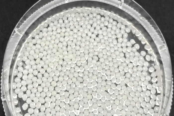 تشبه حبات الشاي.. خرزات نباتية تثبت فعاليتها في إنقاص الوزن دون أدوية