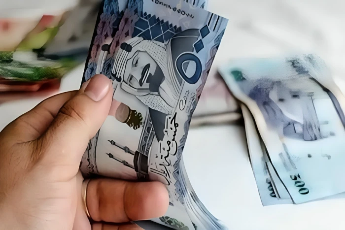 يشمل الموظفين السعوديين والعمالة الوافدة.. الإعلان عن برنامج معاشات التقاعد والإدخار الطوعي قريبا