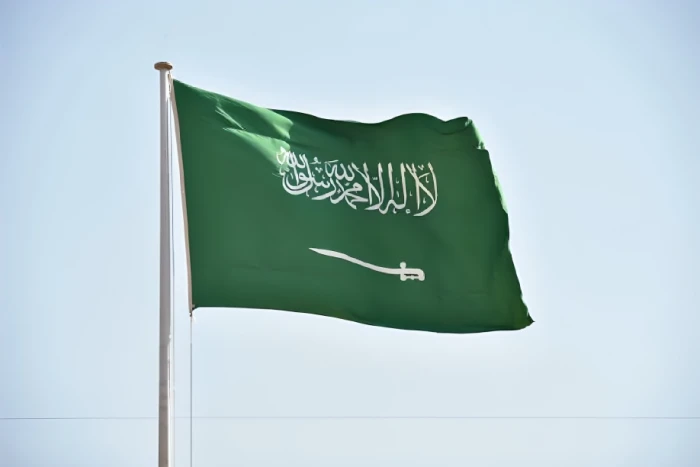 بيان من المملكة بشأن استمرار الانتهاكات الإسرائيلية وتوغلها داخل الأراضي السورية والتدخل في شؤونها