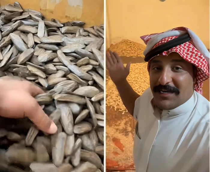 «خشب مصبوغ».. بالفيديو.. شاب سعودي يكشف كيف يتم الغش في صناعة عود البخور في إندونيسيا