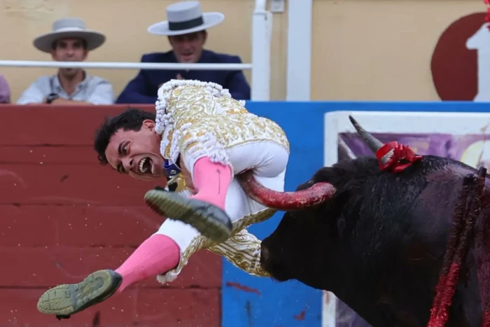 بالصور: قرون ثور تخترق جسد مصارع ثيران كولومبي أثناء عرض في فرنسا