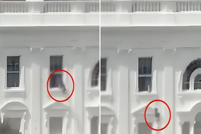 بالفيديو.. شخص يلقي أكياس نفايات من نافذة في البيت الأبيض ويثير الجدل