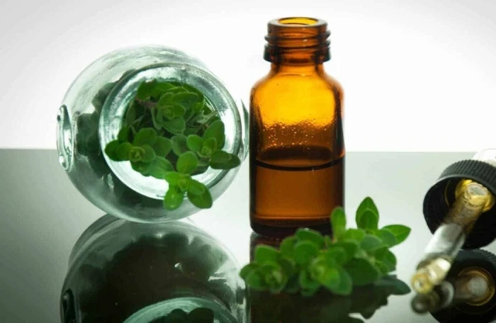 علماء يكتشفون مادة نباتية تحارب السرطان.. ويوضحون الفواكه والنباتات التي تحتوي عليها