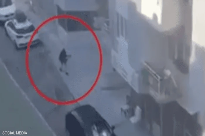 بالفيديو.. مقتل شرطيين تركيين وإصابة آخرين في هجوم مسلح على مركز للشرطة قرب إزمير