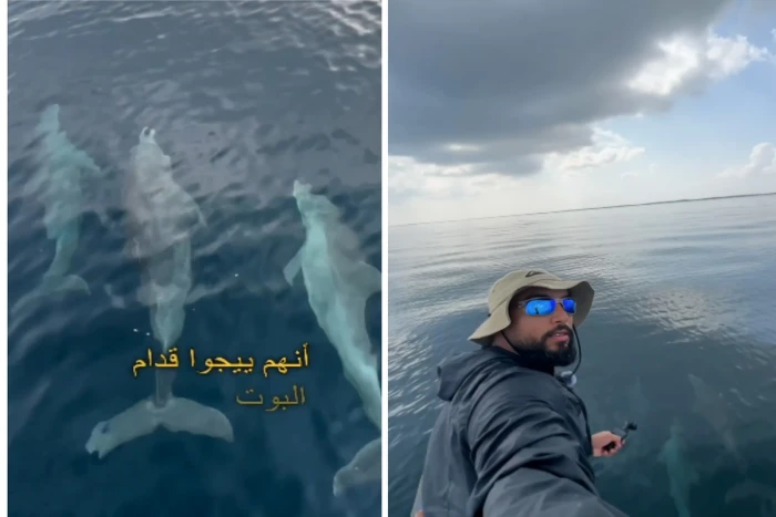 بالفيديو: بحّار سعودي يكشف سر تعمّد الدلافين السباحة أمام القوارب في جزر فرسان