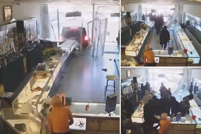 «صاحب المتجر أُصيب بجلطة من شدة الصدمة».. بالفيديو.. عشرات اللصوص يسرقون متجر ذهب في وضح النهار بكاليفورنيا الأمريكية