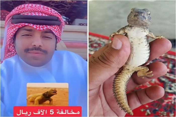 أول تعليق من " الحياة الفطرية" على واقعة تغريم مواطن 5 آلاف ريال بعد تصوير ضبين !