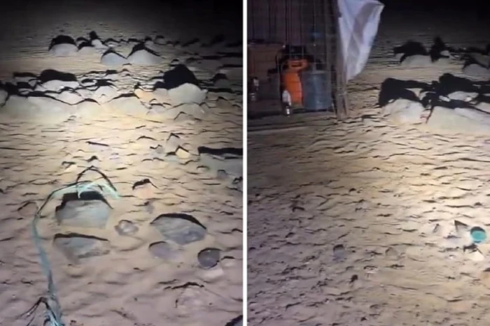 حادثة غريبة في الصحراء ..بالفيديو: اشتعال نار غامضة تحت جبل وامرأة تحذر  عامل : ابتعدوا هذا قبر جدي!