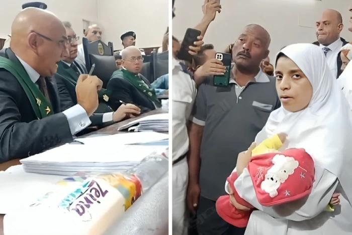 بالفيديو..  قاضٍ مصري يستجوب المتهمة بقتل زوجها وأبنائه الستة من زوجته الأولى في المنيا