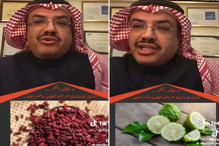 بالفيديو.. "النمر" يكشف عن 4 أغذية تُسهم في خفض الكوليسترول الضار