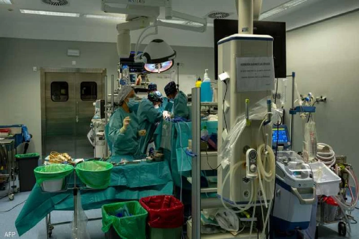 لأول مرة.. زراعة كبد خنزير في جسم إنسان