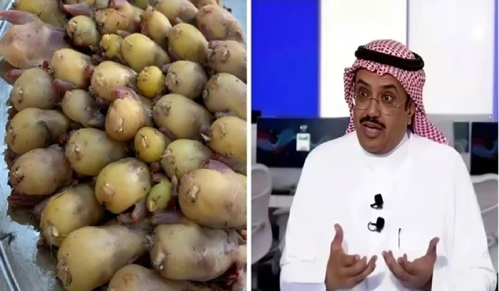 «النمر» يكشف أضرار تناول طيور الدُّخَل.. والفئات الممنوعة من تناولها