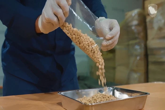 بالفيديو: إحباط تهريب 48 ألف حبة من "الكبتاجون" في منفذ الحديثة.. والقبض على مستقبليها