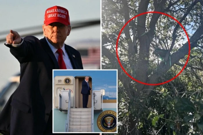 الخدمة السرية الأمريكية تحقق في وجود وكر قناص محتمل على شجرة لحظة وصول طائرة ترامب الرئاسية بالقرب من مطار بالم بيتش