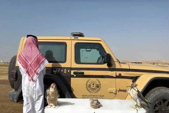 القبض على مواطن والتشهير باسمه لارتكابه مخالفة الصيد في المدينة المنورة.. والكشف عن المضبوطات التي عثر عليها بحوزته