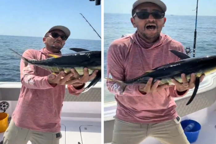 كأنه صُعق بالكهرباء.. بالفيديو: سمكة تونة تفاجئ خبير أسماك أثناء تصويره شرحًا عنها وهي بين يديه