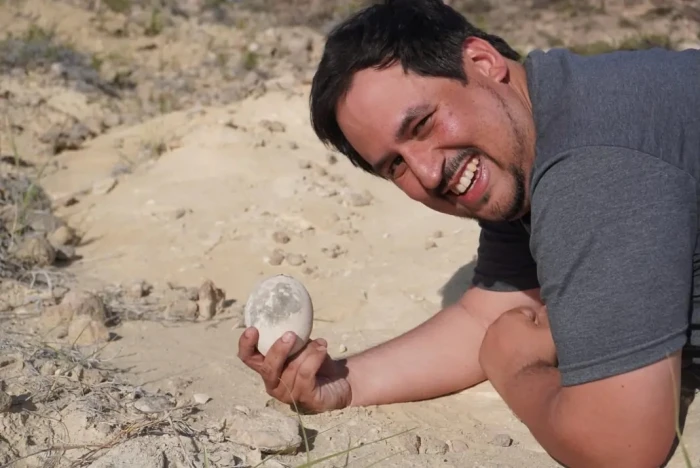 بالفيديو :  العثور  على بيضة ديناصور  سليمة عمرها 70 مليون عام