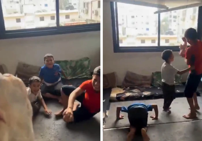 «أحدهم سجد من الفرحة».. بالفيديو.. ردة فعل 3 أطفال من غزة بعد رؤيتهم دجاجة لأول مرة منذ عامين