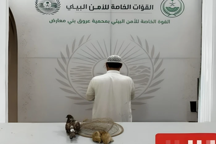 ضبط مواطن لارتكابه مخالفة الشروع في الصيد بمحمية عروق بني معارض.. والكشف عن العقوبة المتوقعة بحقه