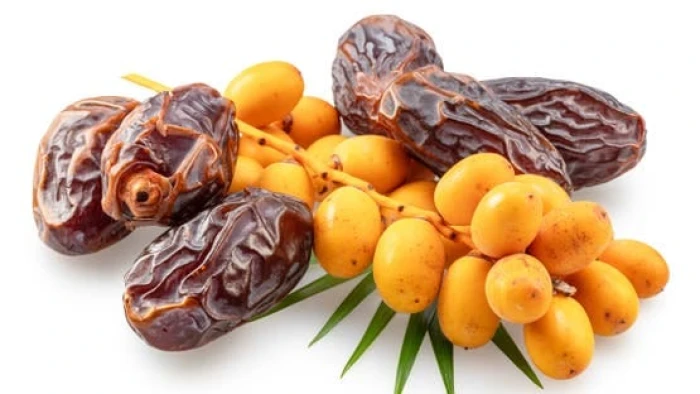 أيهما أفضل للصحة التمر الطازج أم المجفف؟