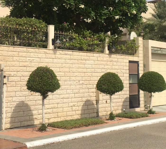 أمانة القصيم: زراعة 3 أشجار أمام السور الخارجي شرط للحصول على ترخيص بناء المنازل الجديدة!