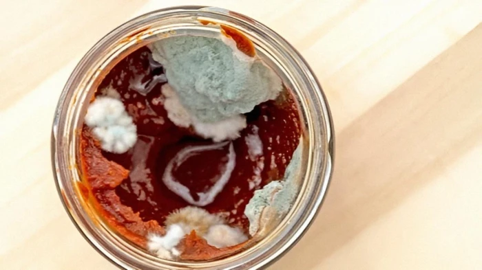 خطأ نرتكبه في التعامل مع معجون الطماطم قد يؤدي للوفاة!