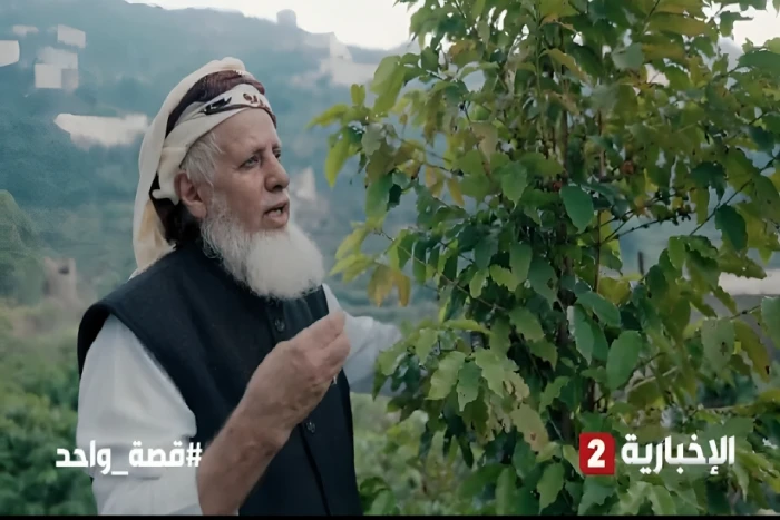 بالفيديو.. مواطن يروي قصة تدميره لـ1200 شجرة قات واستبدالها بزراعة القهوة في جبال فيفاء