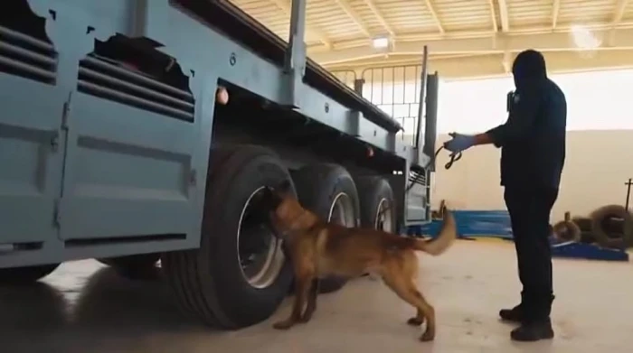 بالفيديو.. إحباط محاولتي تهريب أكثر من 33 ألف حبة «إمفيتامين» و21 كم  «شبو» في منفذي الدّرة والربع الخالي