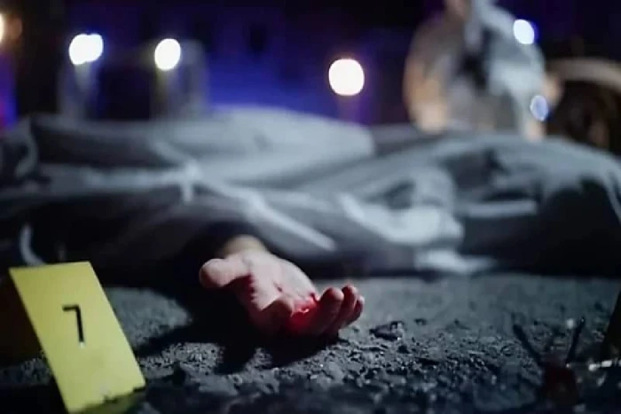 ذبحه وقطع عضوا من جسده.. تفاصيل القبض على خليجي قتل مصريا داخل مصعد في مصر