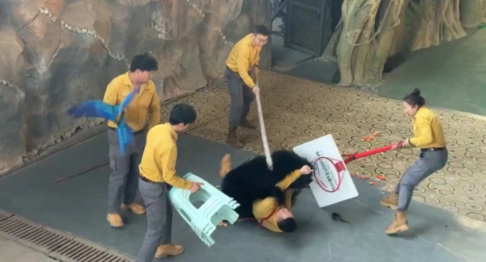 بالفيديو: دب أسود ينقضّ على حارسه ويحاول افتراسه خلال عرض مباشر  أمام الزوار