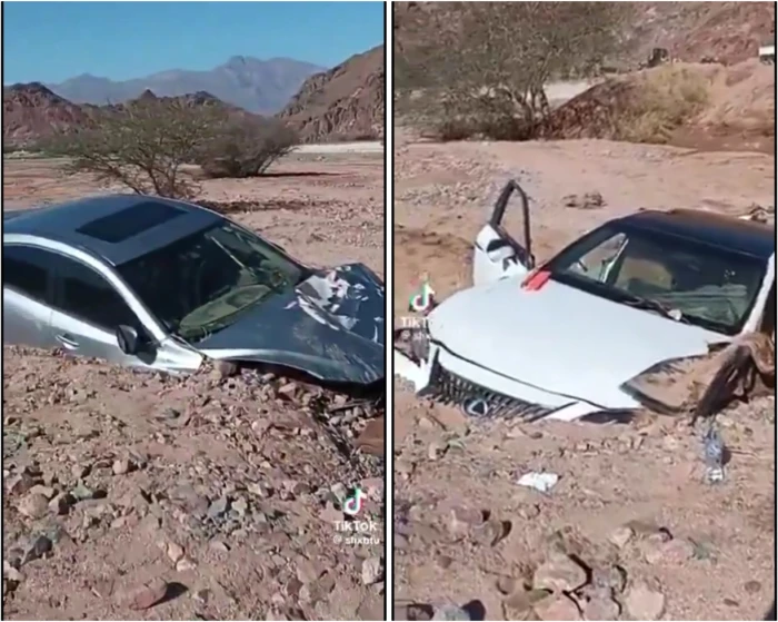 بالفيديو.. مواطن  يكشف سبب   دفن 4 مركبات في التراب بحائل ومصير أصحابها