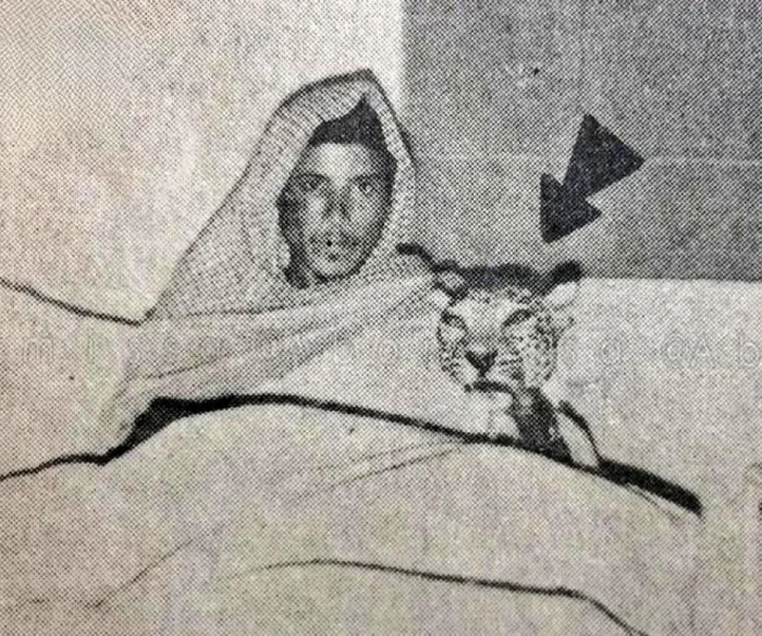 قصة صورة نادرة لمواطن يحمل رأس نمر عربي داخل مستشفى في عسير .. والكشف عن تاريخ التقاطها