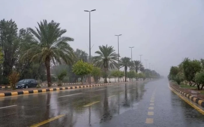 الأرصاد تكشف حالة الطقس المتوقعة اليوم: أمطار رعدية وصقيع وضباب على هذه المناطق!