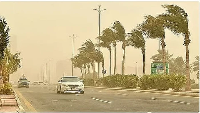 الأرصاد تكشف حالة الطقس المتوقعة خلال الساعات القادمة: أمطار ورياح وضباب على هذه المناطق!