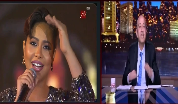 ‏بالفيديو.. عمرو أديب: شيرين محتاجة حد يلحقها!