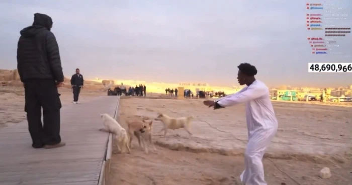 بالفيديو.. «سبيد» يتدخل ويفض مشاجرة للكلاب أثناء تواجده في منطقة الأهرامات بمصر