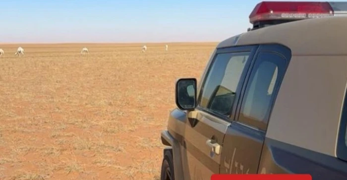 ضبط مواطن لارتكابه مخالفة رعي في محمية الإمام عبدالعزيز بن محمد.. والكشف عن العقوبة المتوقعة بحقه