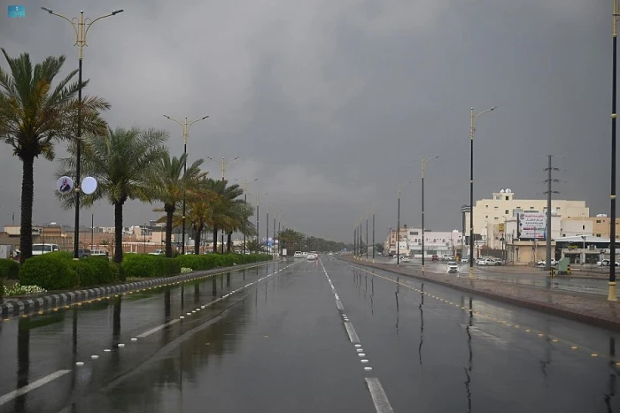 الأرصاد تكشف حالة الطقس المتوقعة اليوم: صقيع وأمطار ورياح على هذه المناطق!