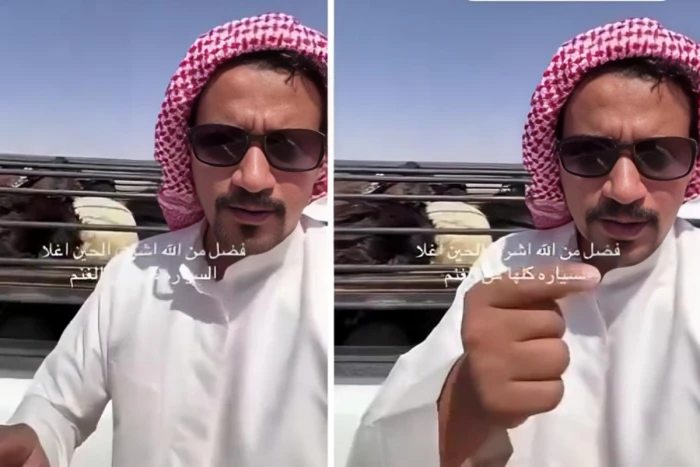 استطيع شراء أغلى السيارات.. بالفيديو : شاب يكشف عن دخله الشهري من التجارة في الأغنام