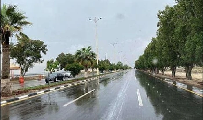 الأرصاد تكشف حالة الطقس المتوقعة اليوم: أمطار غزيرة تؤدي إلى جريان السيول على هذه المناطق!